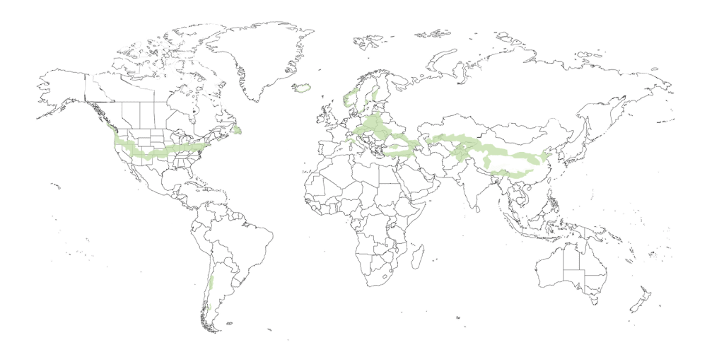 Tvirtumo zonos žemėlapis